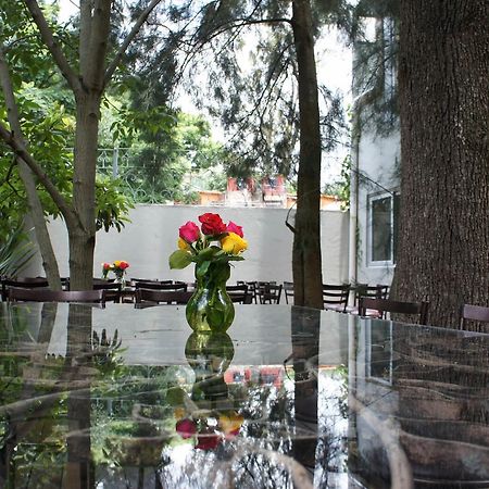 Casa Tepoztlan Bed & Breakfast Dış mekan fotoğraf